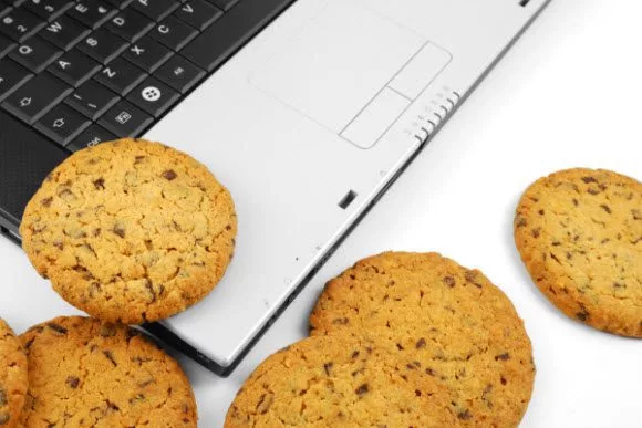 Browser cookies