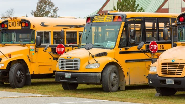 Ever Wondered: Why Are School Buses Yellow And Lack Seat-belts?