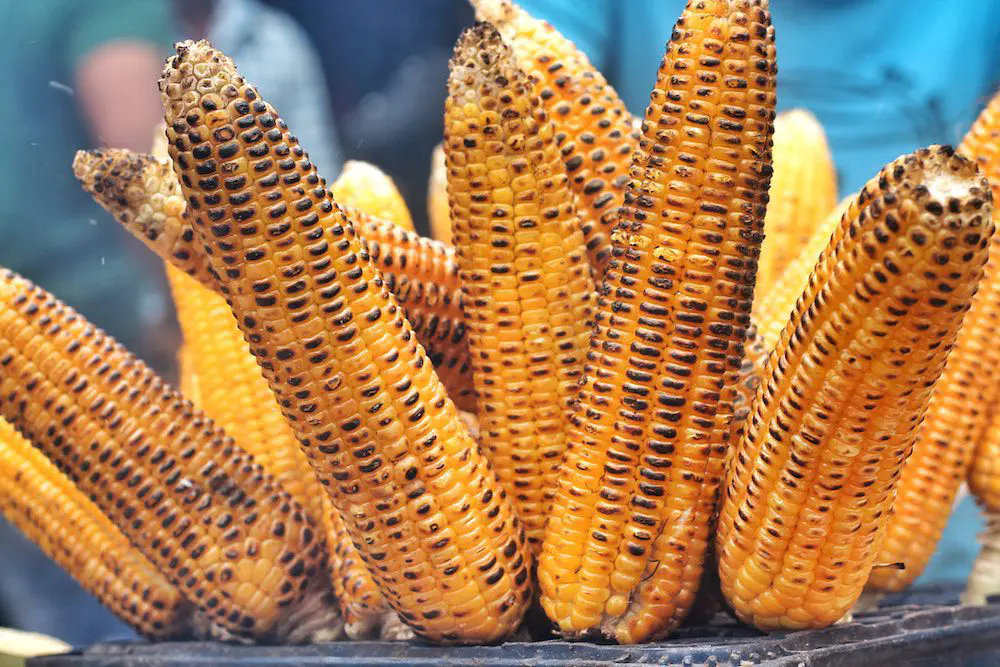 Corn 9 Most Beautiful Cities in Nigeria.