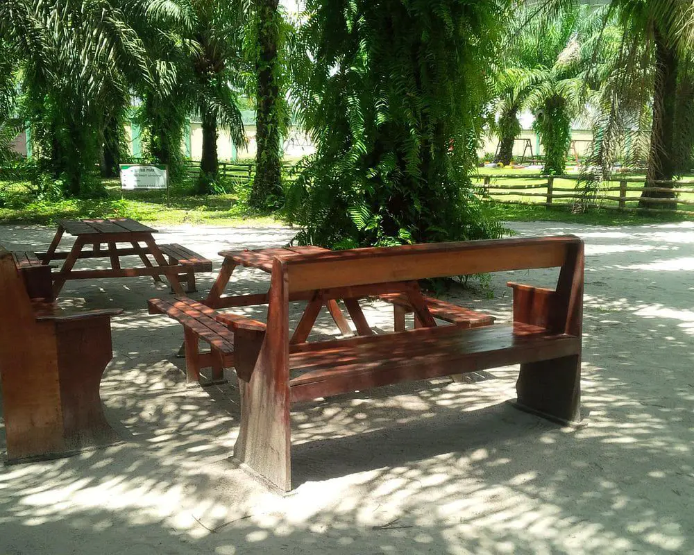 lekki urban forest and 16 Cheapest Places to Hang out in Lagos
