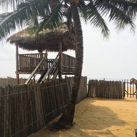 eleko beach The 9 Best Beaches in Lagos to Relax and Have Fun Today(+Gate fee and Location)