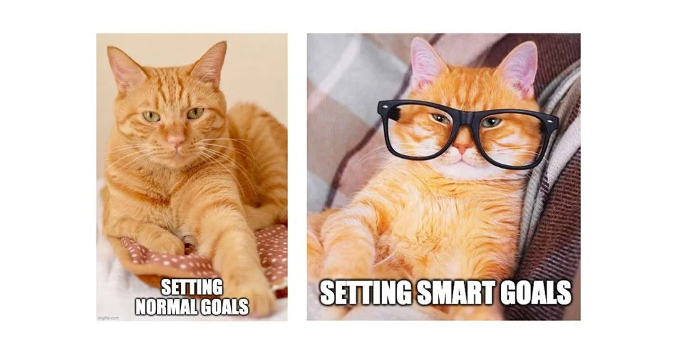 Picture Collage of a Cat. On the left, the cat sits with the words "setting goals" on the picture. The second collage has the Cat on big googles with the words "setting smart goals"on it.