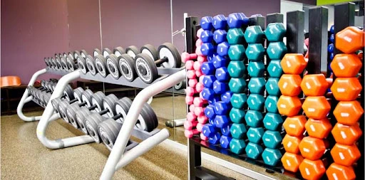 Lotus Fitness Fitness Hotspots on The Island: Top Gyms in Lekki, VI, and Ikoyi