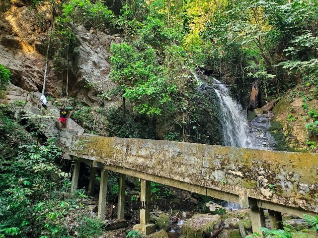 image 146 Erin Ijesha Waterfall: A Spectacular Natural Wonder in Nigeria