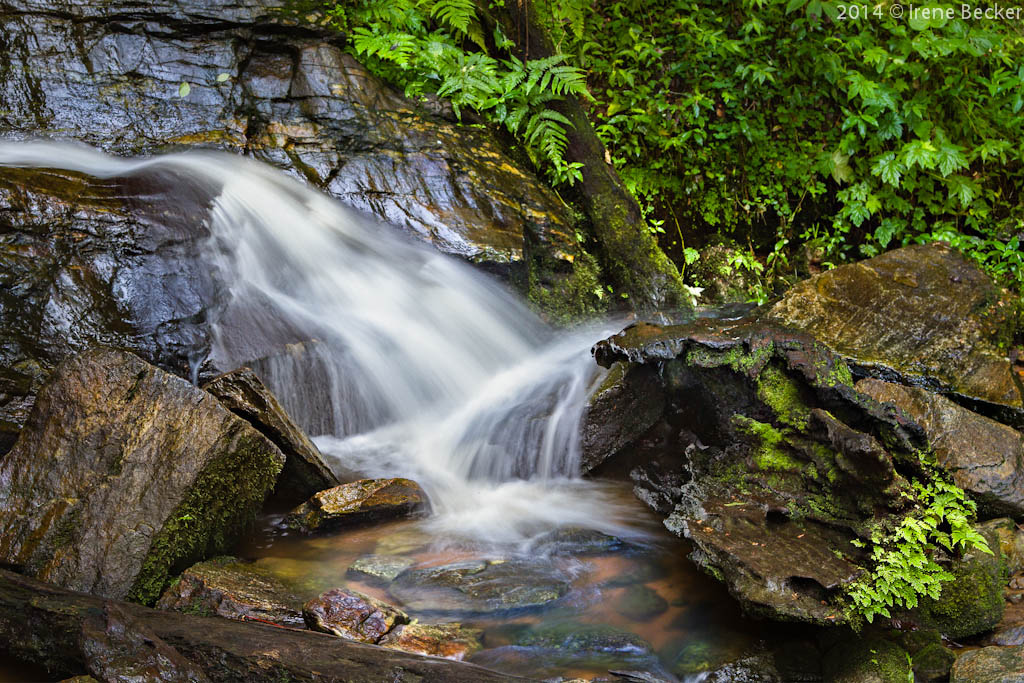 image 147 Erin Ijesha Waterfall: A Spectacular Natural Wonder in Nigeria