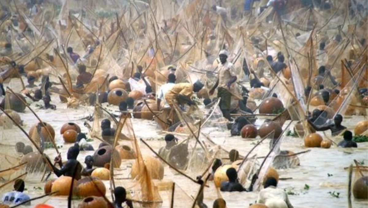 image 160 The Argungu Fishing Festival: Events, Activities, and Must-See Highlights
