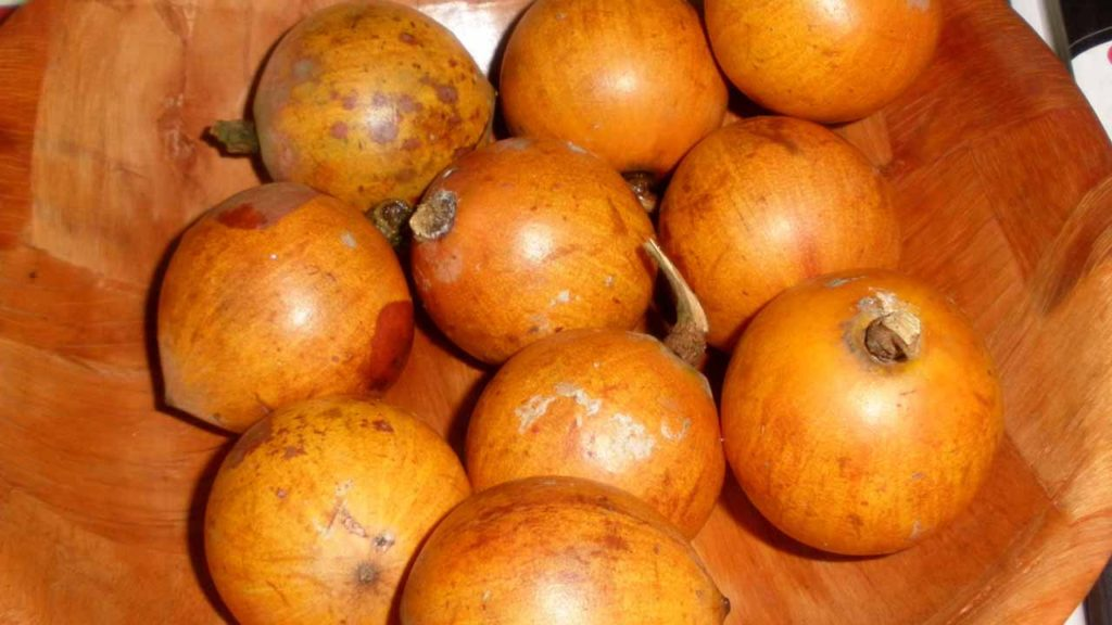 image 52 Investigating Agbalumo: Its Implications for Fertility Health